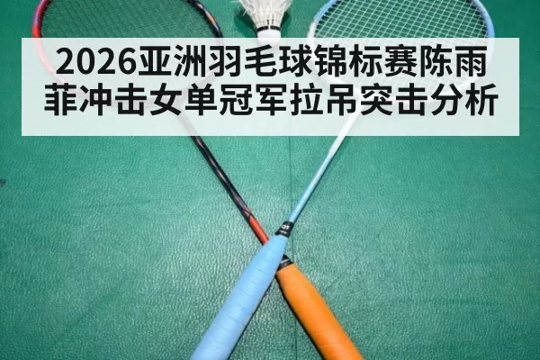 2026亚洲羽毛球锦标赛陈雨菲冲击女单冠军拉吊突击分析